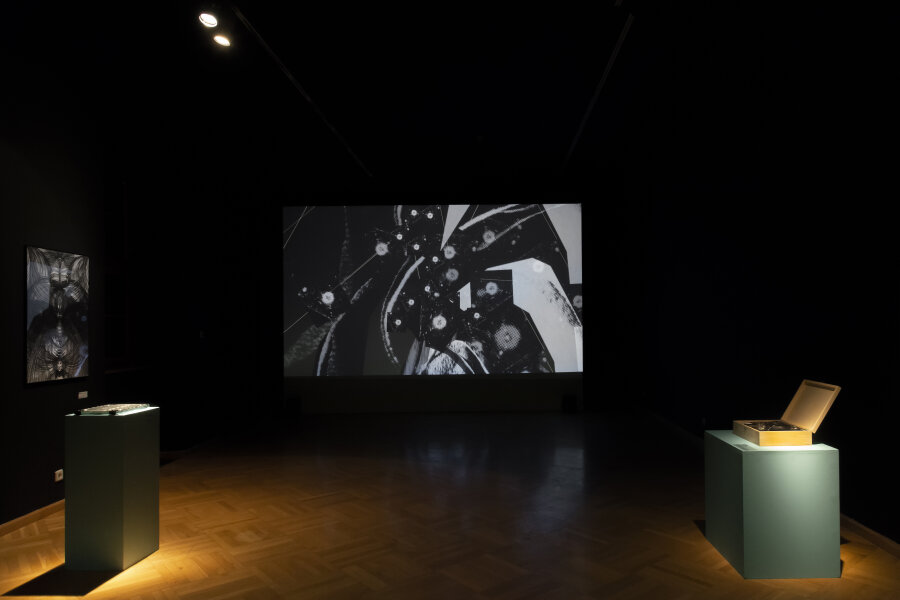 Photo: M. Dvořáková